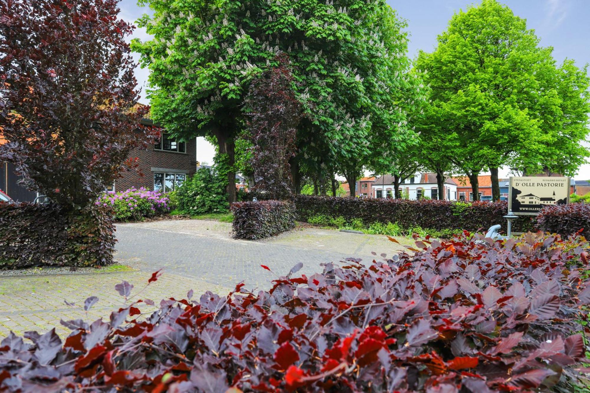 B&B - Sauna D'Olle Pastorie Vierhuizen Kültér fotó